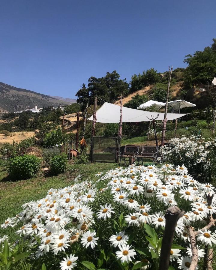 "Casa Ibero" Bubion, Alojamiento Turistico Rural Pension Buitenkant foto