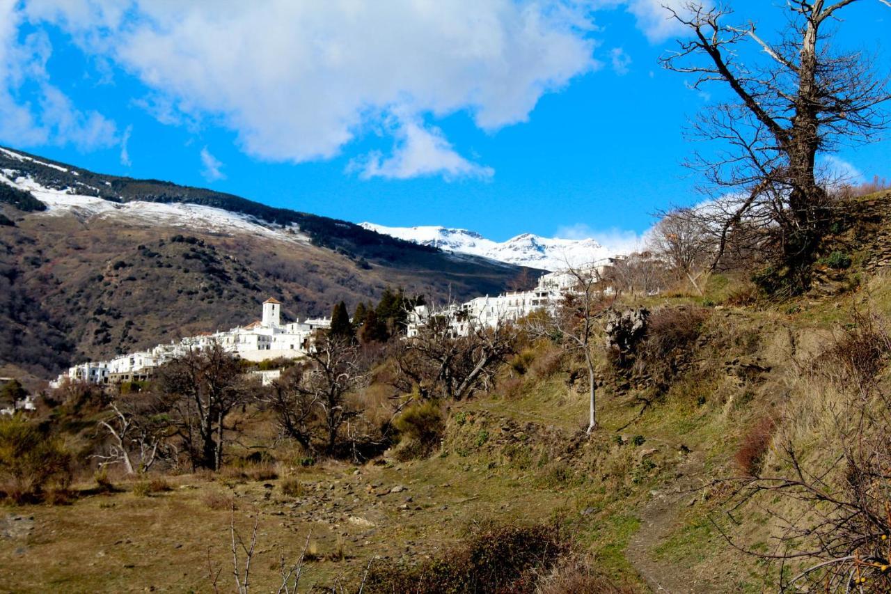 "Casa Ibero" Bubion, Alojamiento Turistico Rural Pension Buitenkant foto