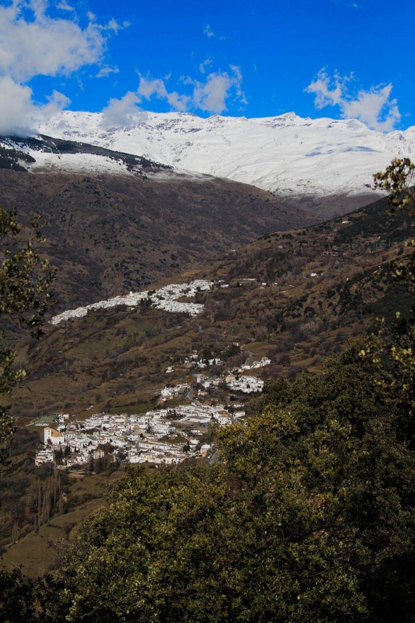 "Casa Ibero" Bubion, Alojamiento Turistico Rural Pension Buitenkant foto